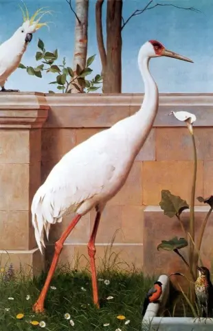 Indische Kraangoudvink En Lijster