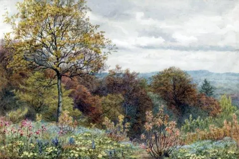 Blackdown Dorsetshire의 경사면에 있는 잡목림