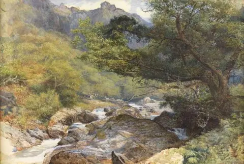 Lyn North Devossa