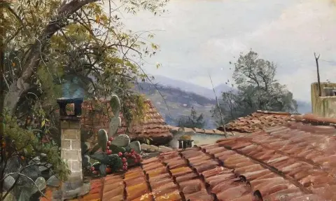 A Cactus Growing On The Old Rooftops In Italy