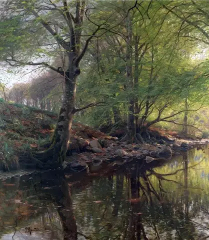 Forest Stream
