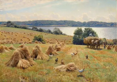 Harvest Near Tulstrup