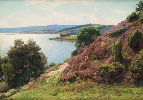 Landscape From Tulstrup Denmark
