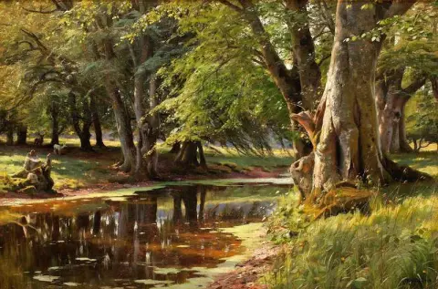 Skogslandskap 1908