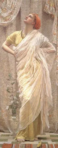 Aves del aire 1878