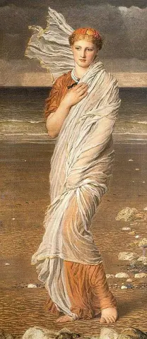 Conchas marinas 1874