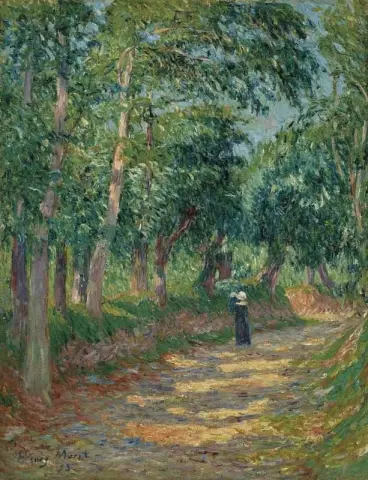Chemin Creux Pont-avenissa 1898