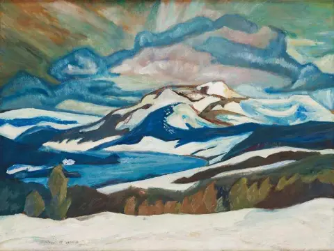 Paesaggio Invernale Dal Nord Della Svezia
