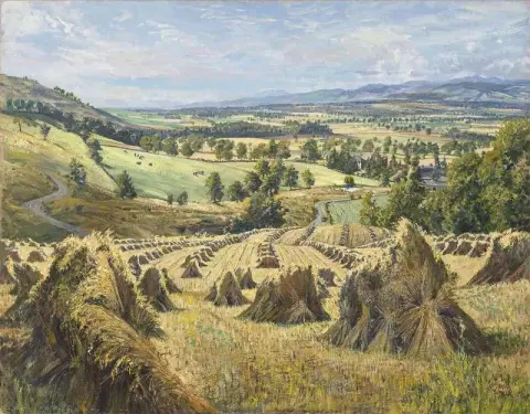 Hayfield