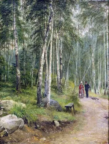 Forest Walk