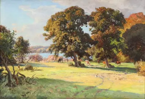 Oak Trees Near Skarridso On Zealand