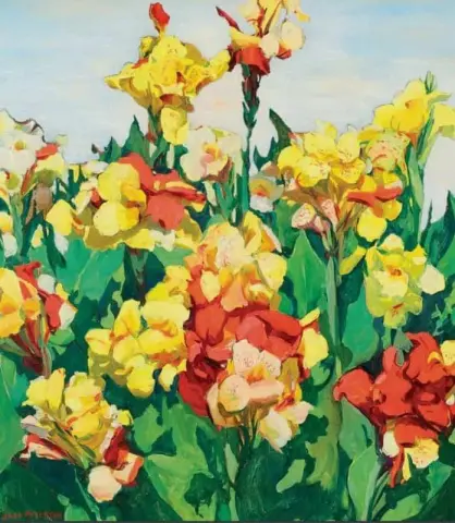 Arton gula cannas 1930