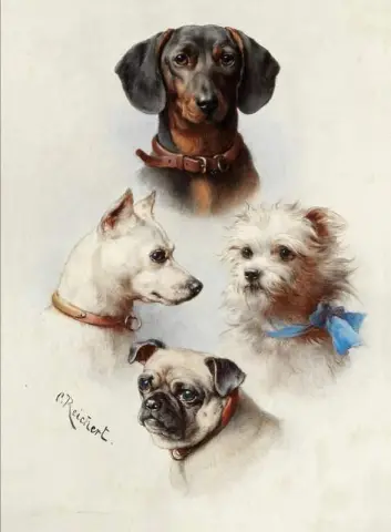 A Motley Crew