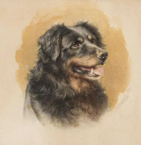 A Portrait Of A Dog 1889