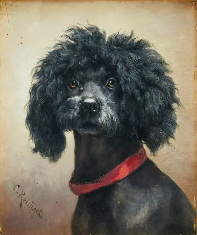 Dog Portrait