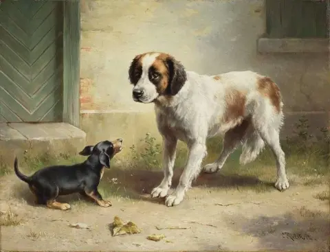 The Unexpected Visitor