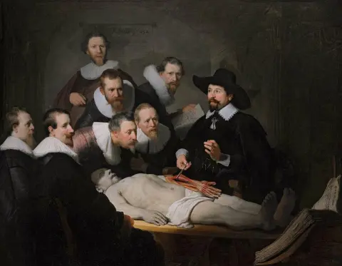 Nicolaes Tulp 医生的解剖课