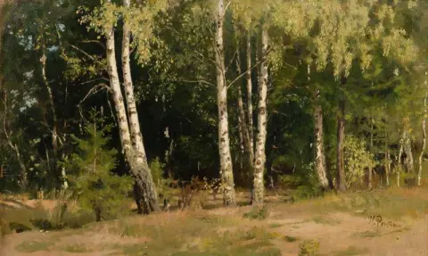 Landskap Siverskaya