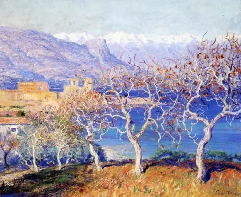 Fikentrær Antibes ca. 1910