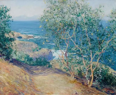 Indiske tobakkstrær La Jolla