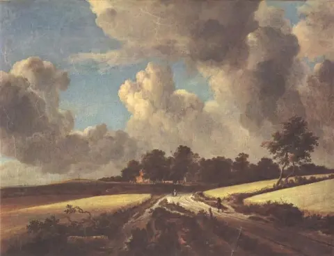 Il campo di grano