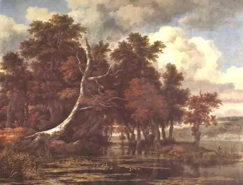 La palude vicino a un bosco