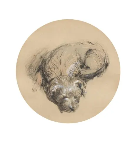 Studie Av En Terrier