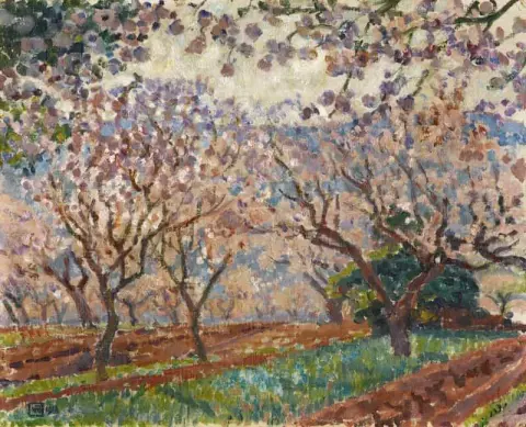 Almond Trees Backlit 1918