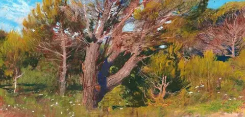 Uit de serie .campagna Romana nr. 40