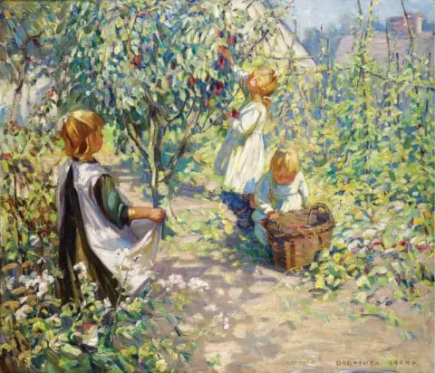 Nel Frutteto Che Raccoglie Le Prugne