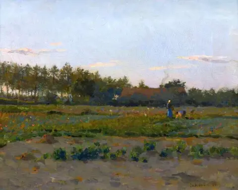 Coqueliquot Field 1884