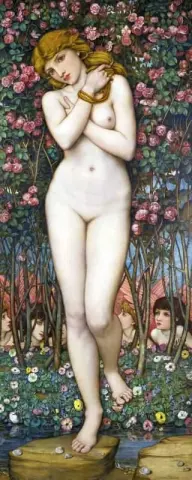 Flora