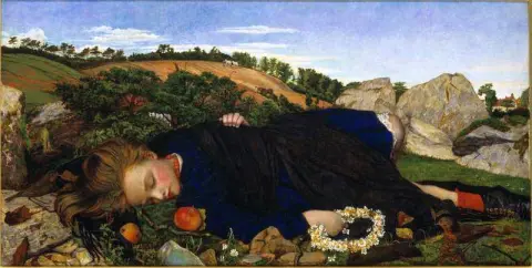 Robin Of Modern Times 1860