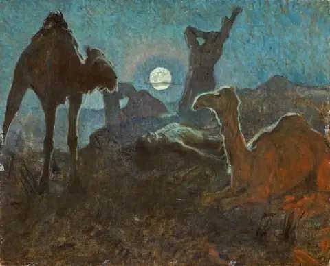 Camellos al atardecer