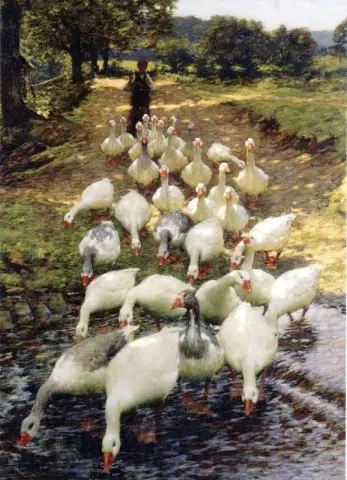 水花 1900