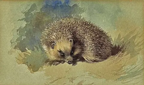 Et pinnsvin