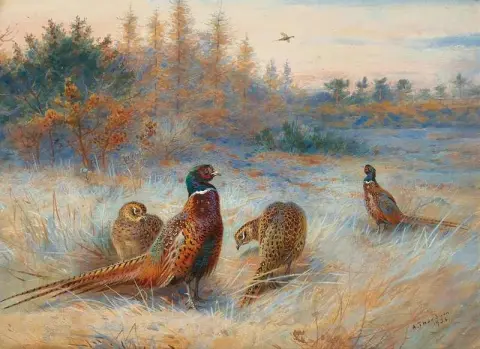 Autumn Dawn Pheasants 1934