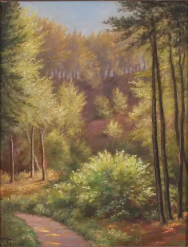 skog