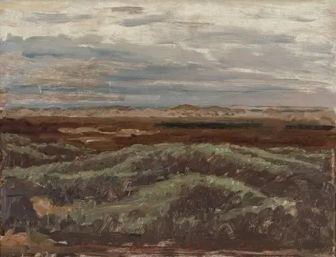 Utsikt över Plantagen i Skagen 1905