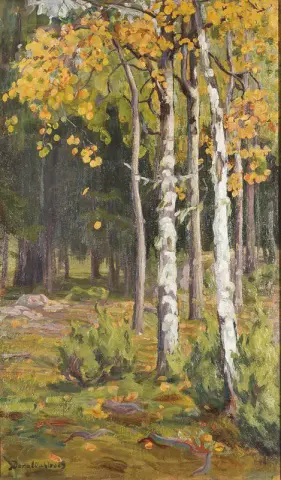 Birch Forest