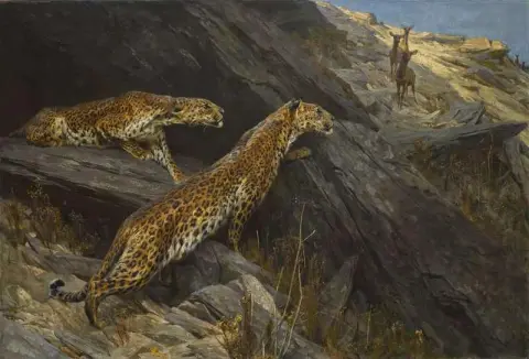 Indian Leopards 1916