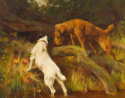 Irish And Wire Fox Terriers Inspecting A Burrow 1904
