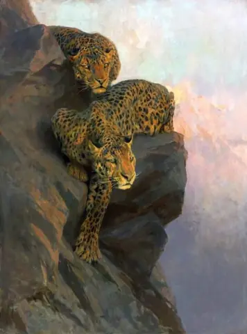 Leopards On The Lookout