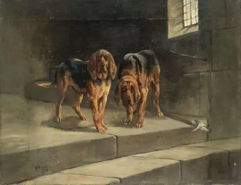 Lord Wolverton S Bloodhounds 1885