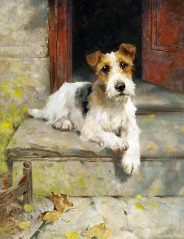 Waiting For Master A Wire Coated Fox Terrier