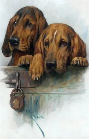 Waiting For The Postman