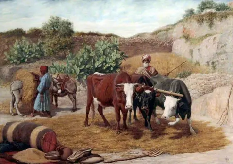 Treading Corn