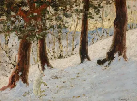 Winterlandschaft, Mit, A, Sitzen, Hare