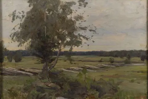 paisagem