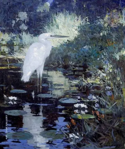 "Airone bianco in una piscina in un giardino -1929"